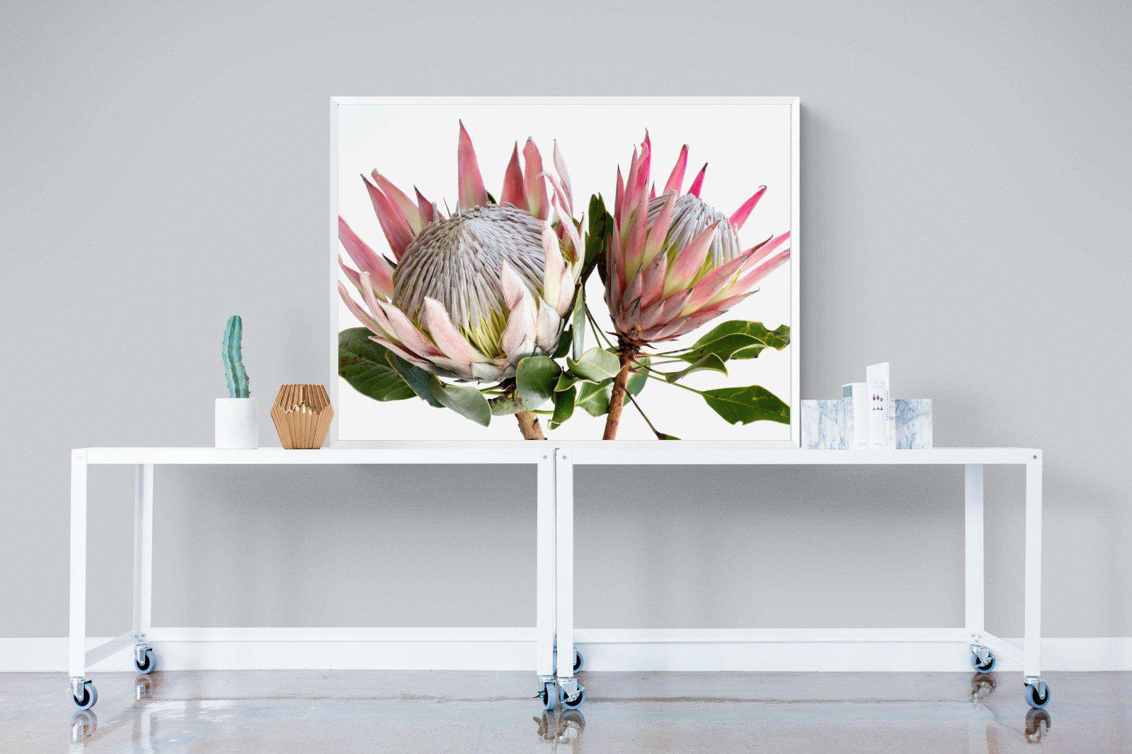 King Proteas-Wall_Art-Pixalot