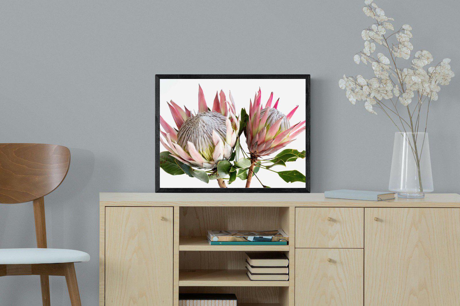 King Proteas-Wall_Art-Pixalot