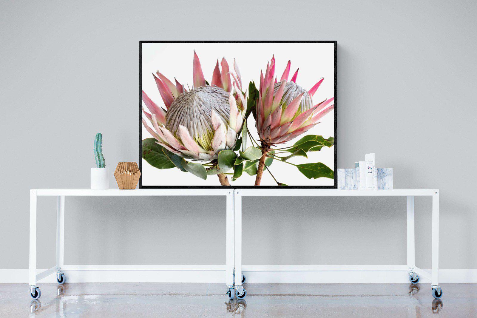 King Proteas-Wall_Art-Pixalot