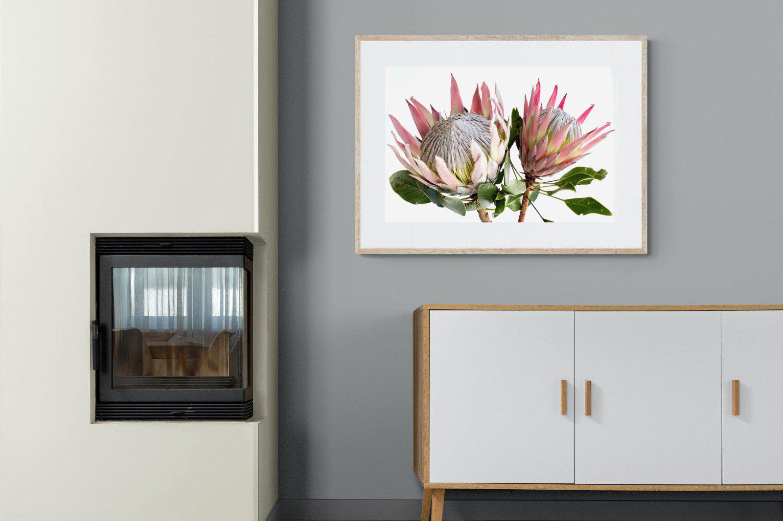 King Proteas-Wall_Art-Pixalot