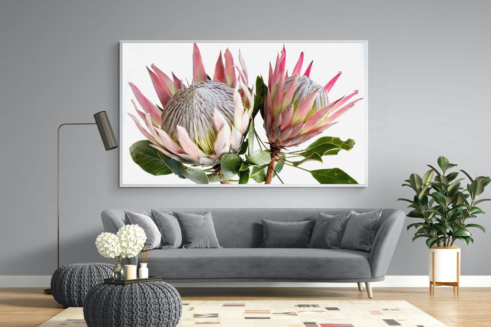 King Proteas-Wall_Art-Pixalot