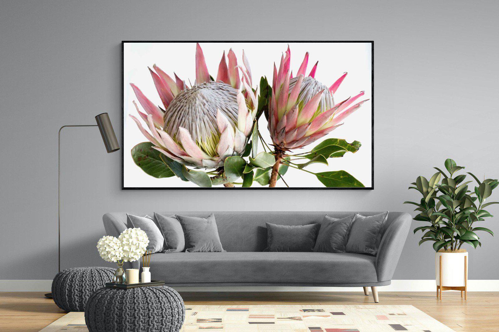 King Proteas-Wall_Art-Pixalot