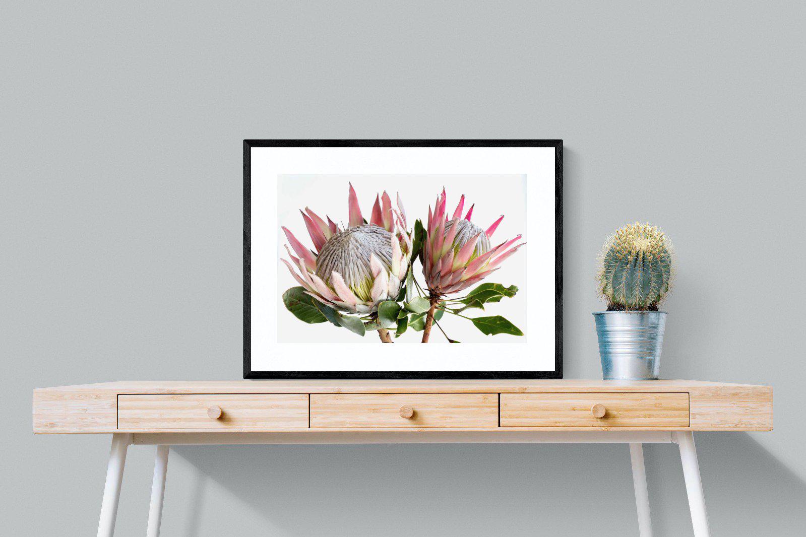 King Proteas-Wall_Art-80 x 60cm-Framed Print-Black-Pixalot