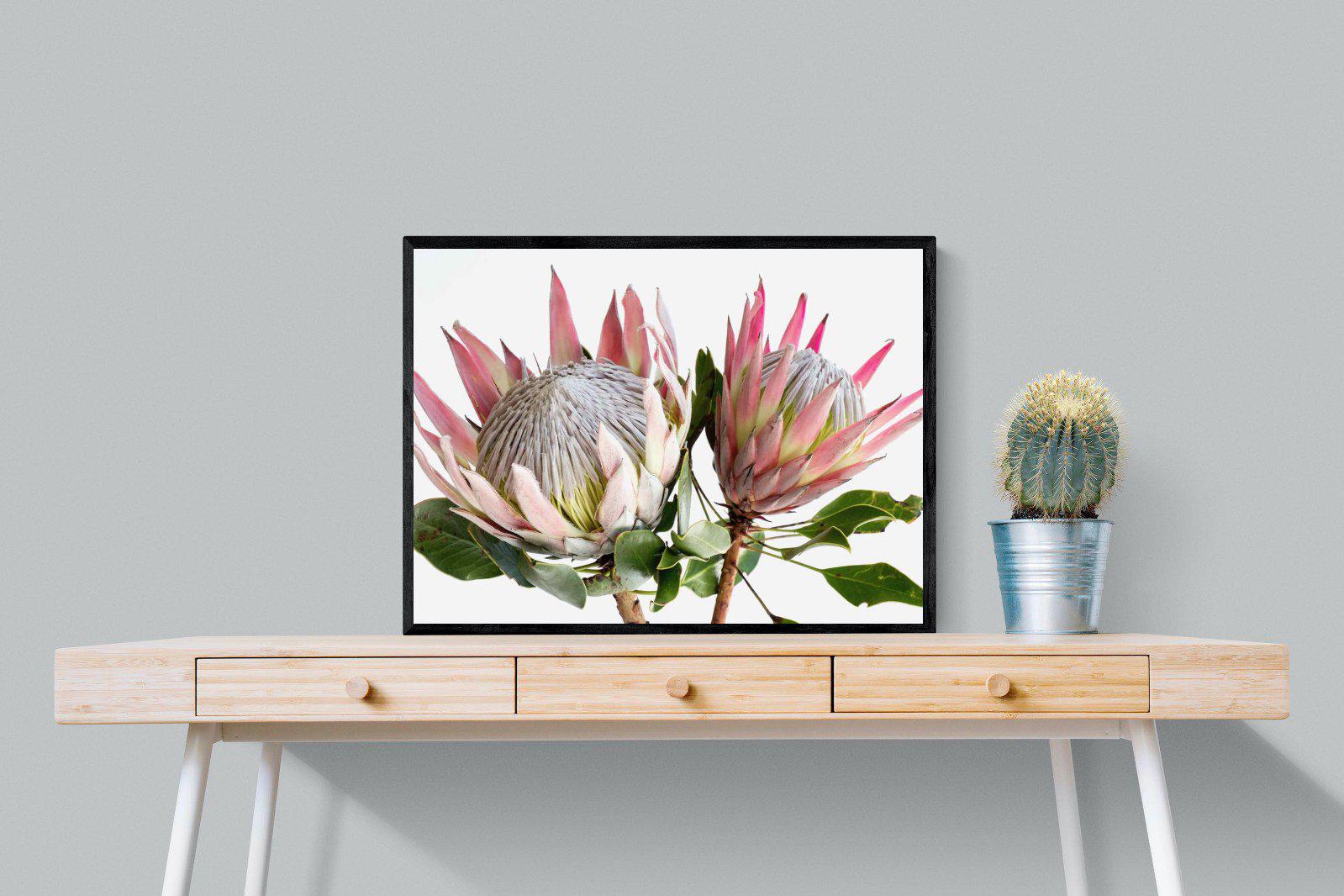 King Proteas-Wall_Art-80 x 60cm-Mounted Canvas-Black-Pixalot