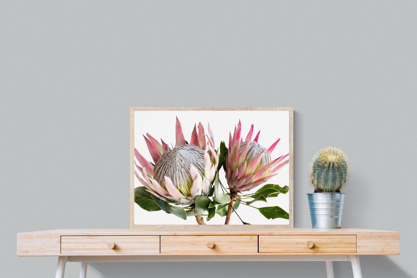 King Proteas-Wall_Art-80 x 60cm-Mounted Canvas-Wood-Pixalot