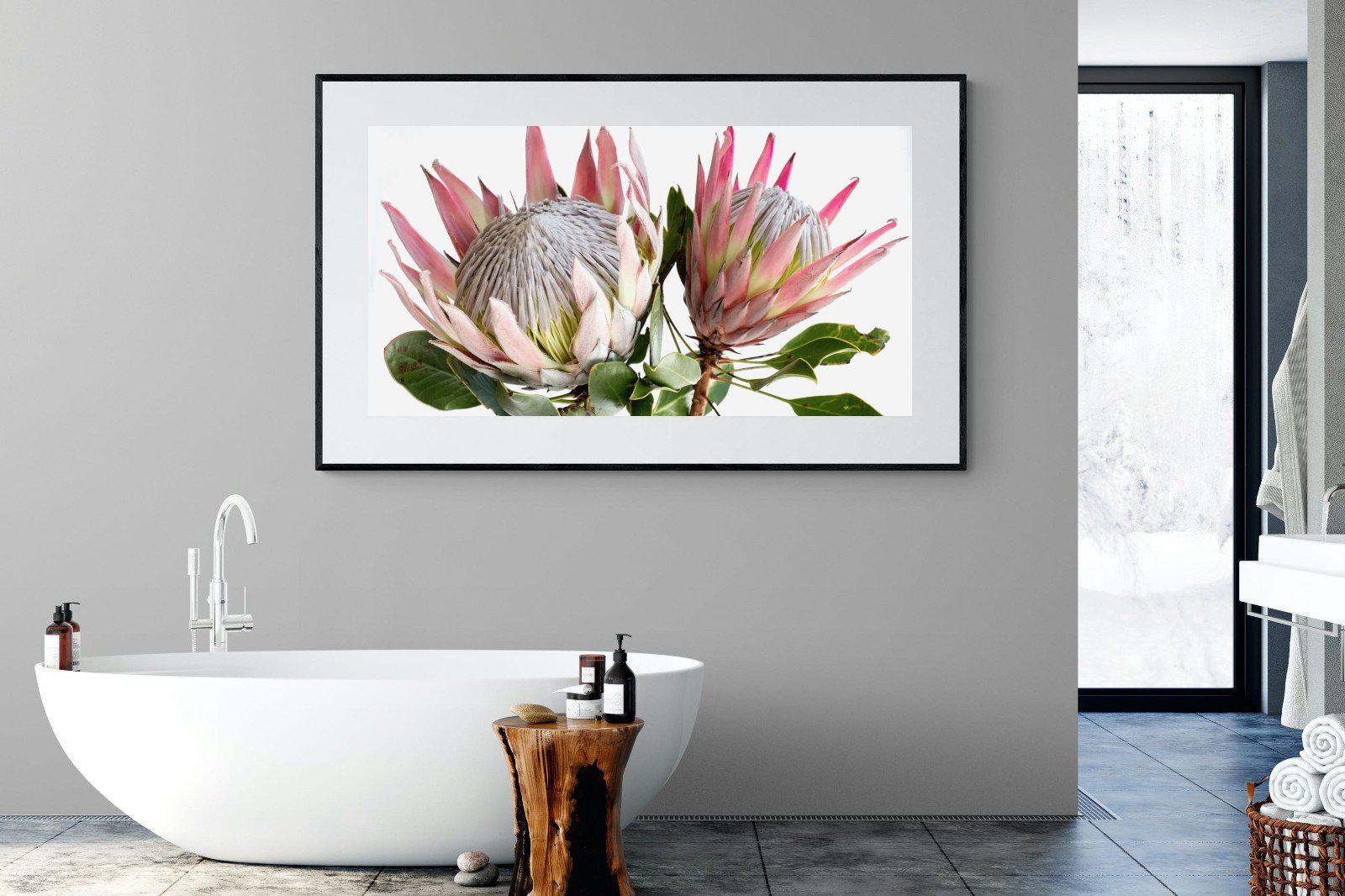 King Proteas-Wall_Art-Pixalot