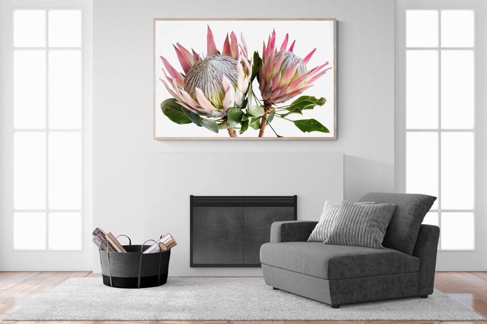 King Proteas-Wall_Art-Pixalot