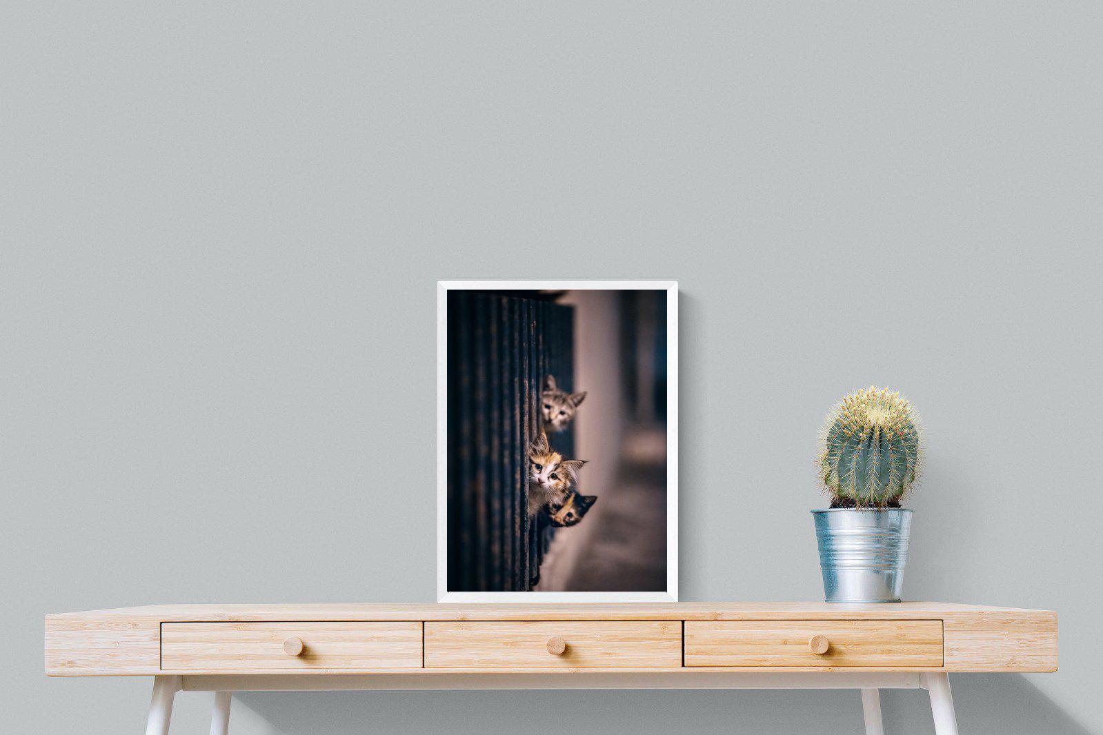 Kitten Call-Wall_Art-45 x 60cm-Mounted Canvas-White-Pixalot