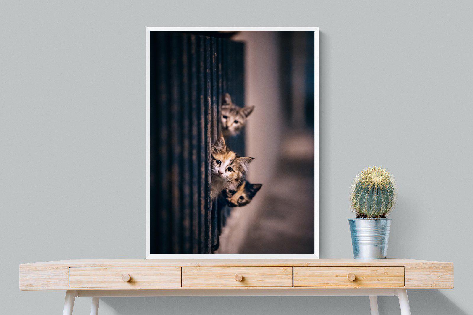 Kitten Call-Wall_Art-75 x 100cm-Mounted Canvas-White-Pixalot