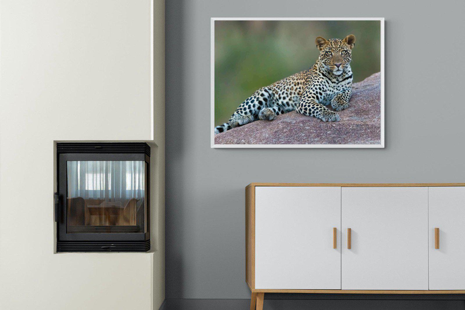 Laying Leopard-Wall_Art-100 x 75cm-Mounted Canvas-White-Pixalot