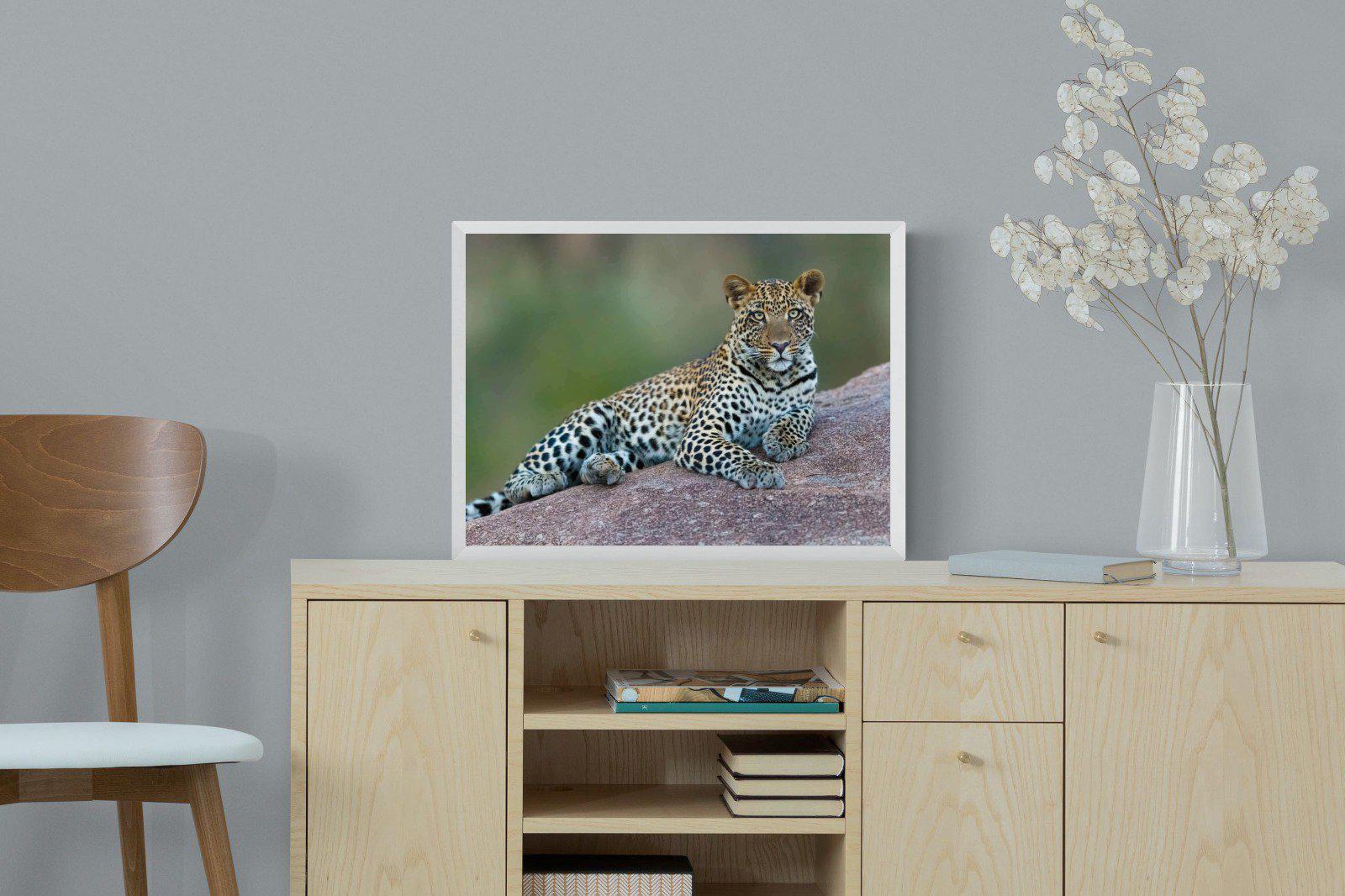 Laying Leopard-Wall_Art-60 x 45cm-Mounted Canvas-White-Pixalot