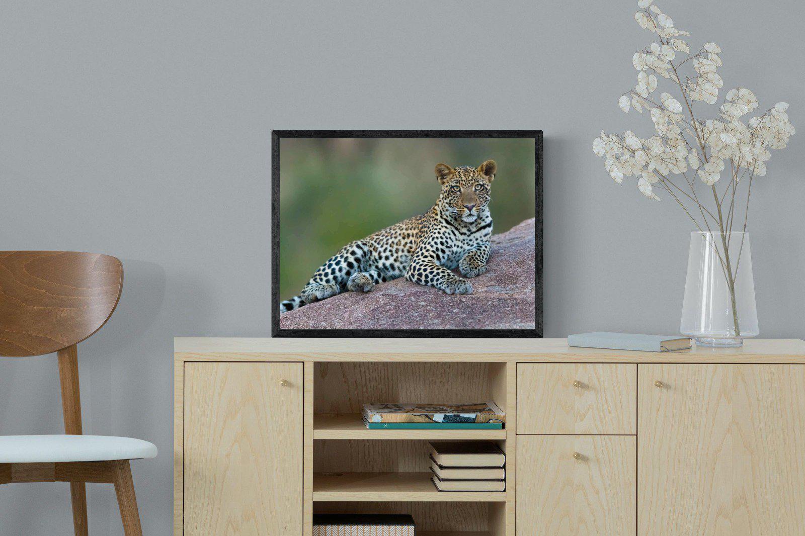 Laying Leopard-Wall_Art-60 x 45cm-Mounted Canvas-Black-Pixalot