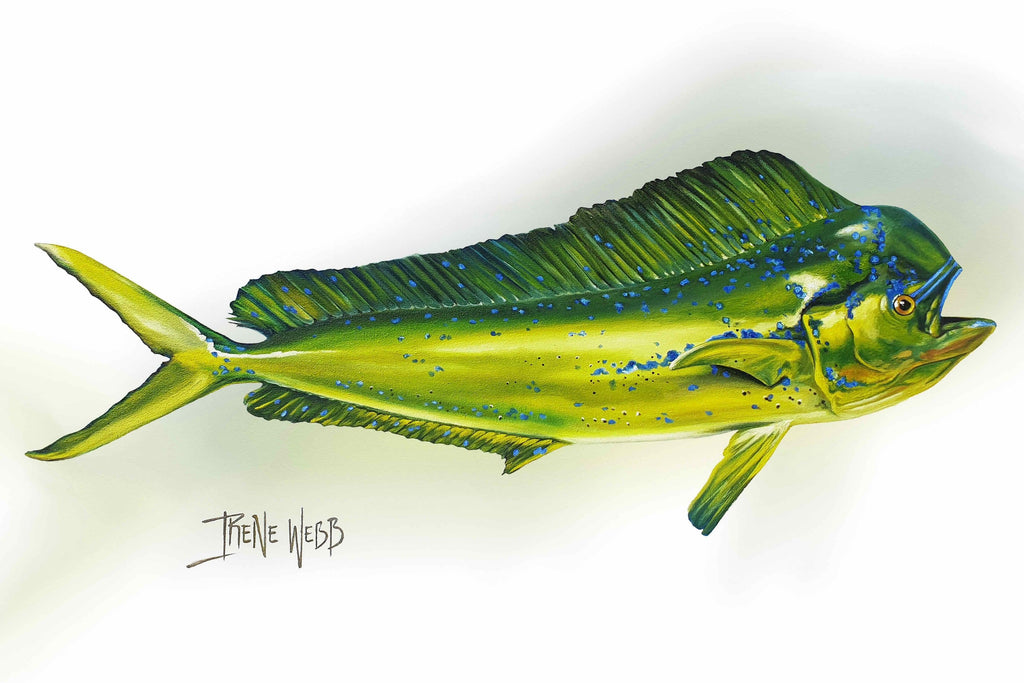 Mahi Mahi-Wall_Art-Pixalot