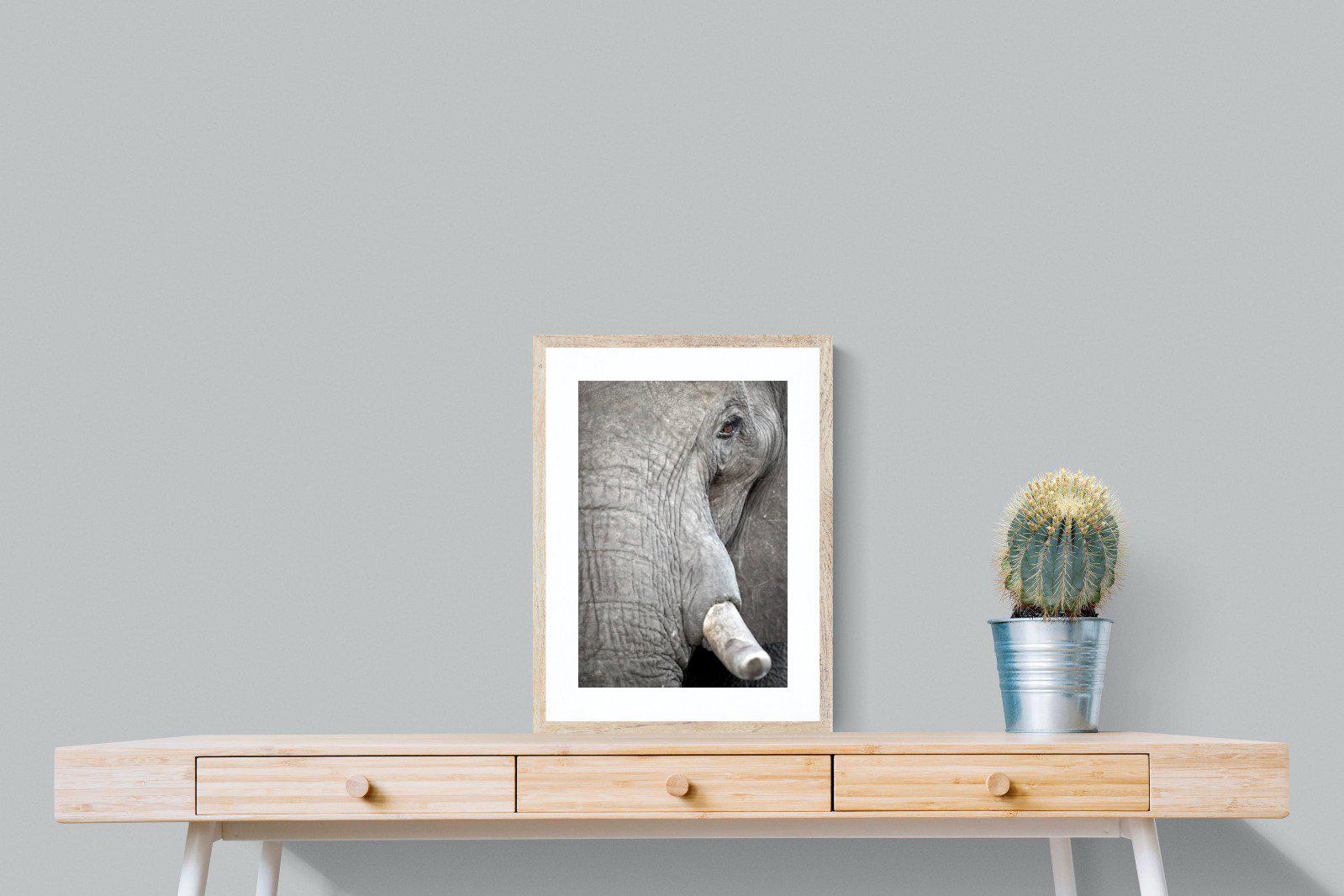 Matriarch-Wall_Art-45 x 60cm-Framed Print-Wood-Pixalot