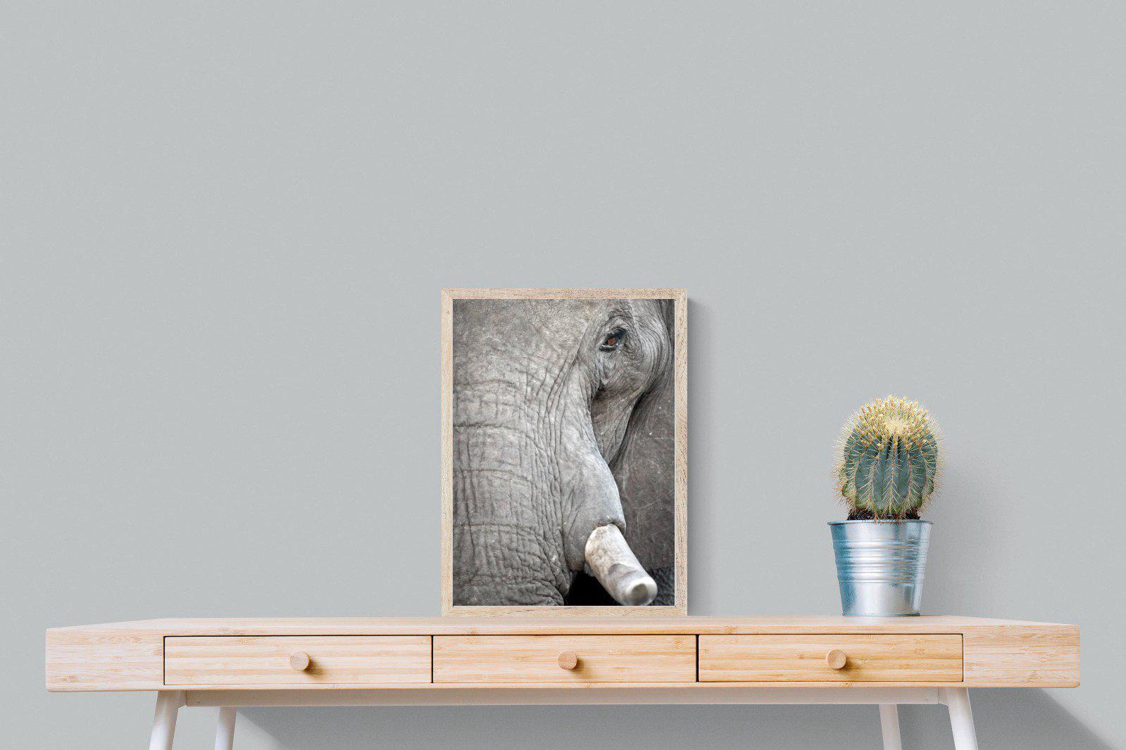 Matriarch-Wall_Art-45 x 60cm-Mounted Canvas-Wood-Pixalot