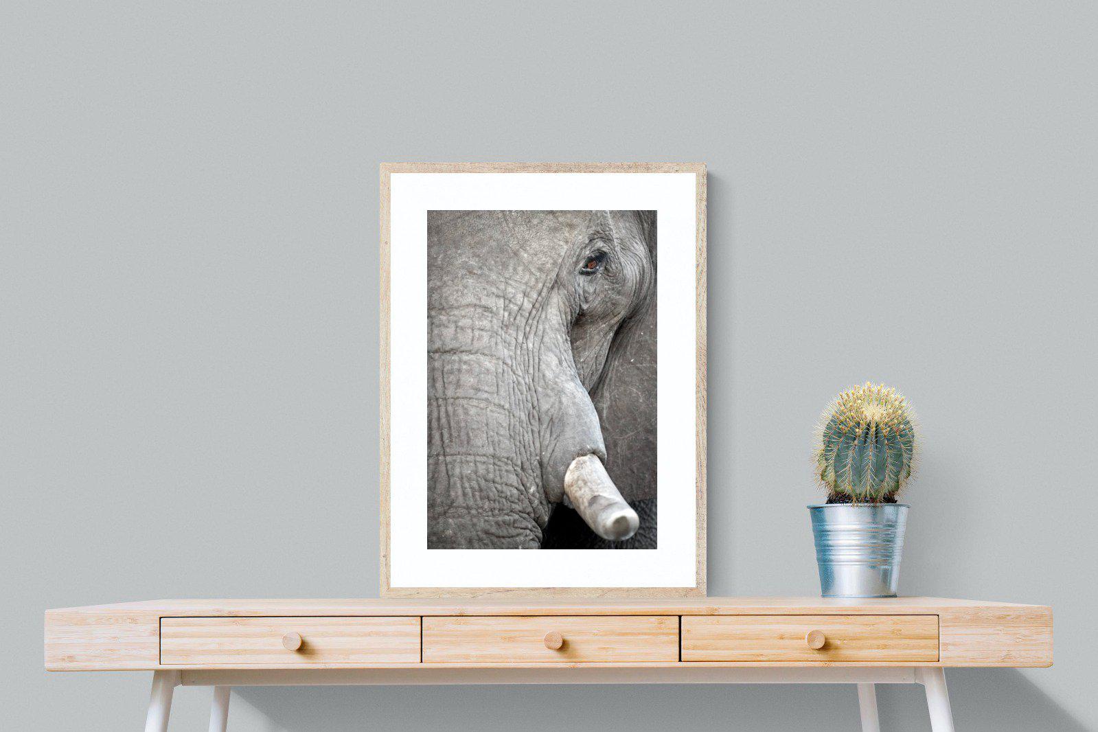 Matriarch-Wall_Art-60 x 80cm-Framed Print-Wood-Pixalot