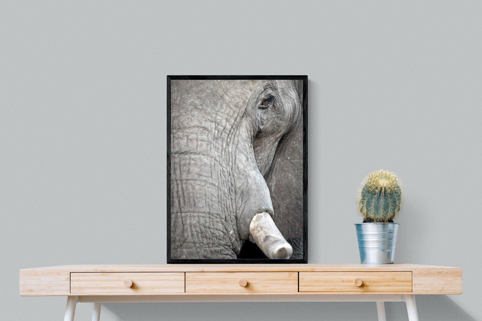 Matriarch-Wall_Art-60 x 80cm-Mounted Canvas-Black-Pixalot