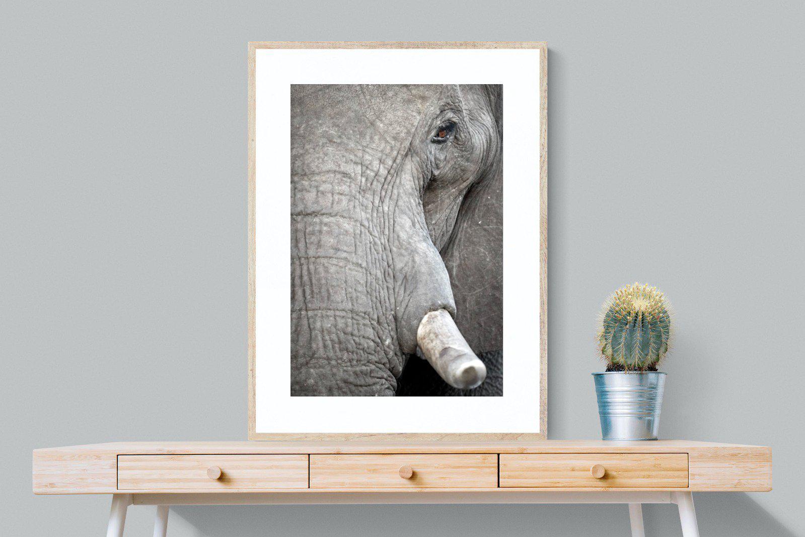 Matriarch-Wall_Art-75 x 100cm-Framed Print-Wood-Pixalot