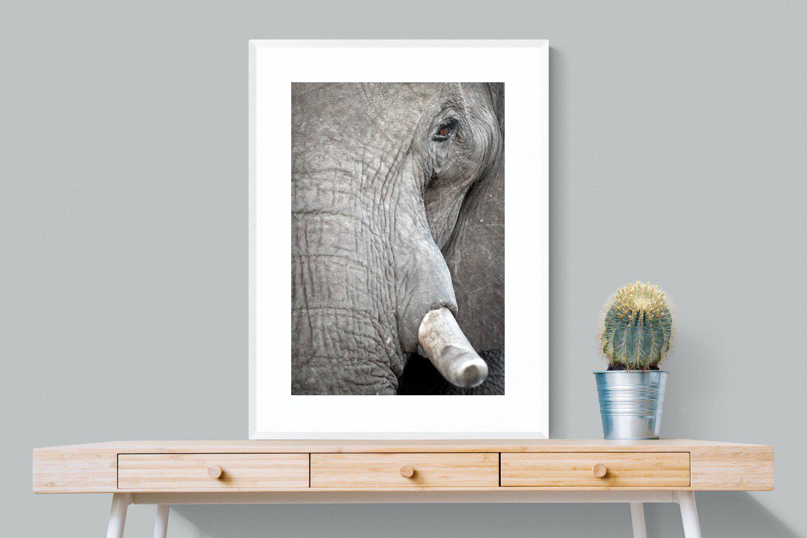 Matriarch-Wall_Art-75 x 100cm-Framed Print-White-Pixalot