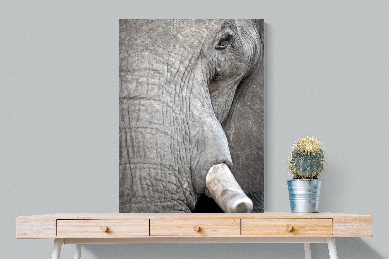 Matriarch-Wall_Art-75 x 100cm-Mounted Canvas-No Frame-Pixalot