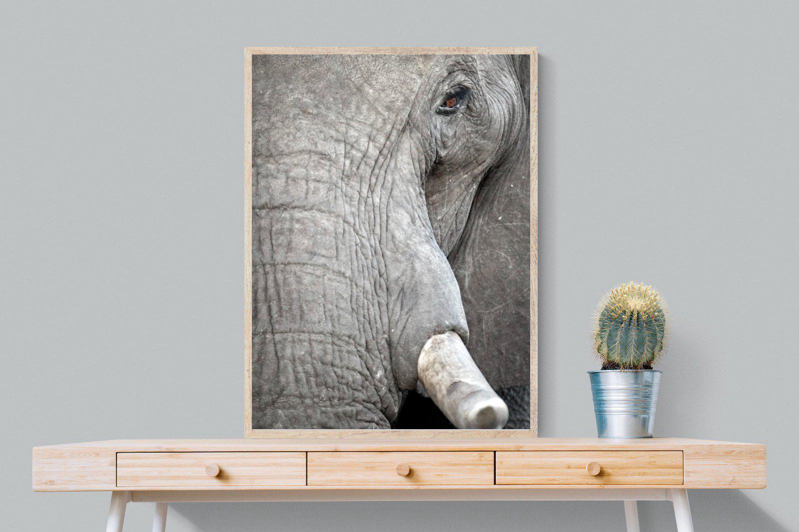 Matriarch-Wall_Art-75 x 100cm-Mounted Canvas-Wood-Pixalot