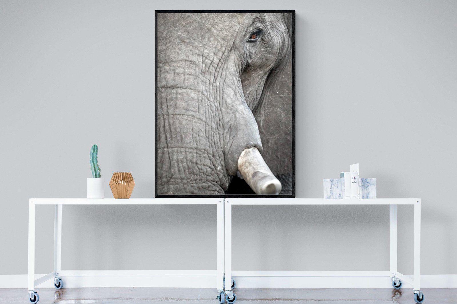 Matriarch-Wall_Art-90 x 120cm-Mounted Canvas-Black-Pixalot