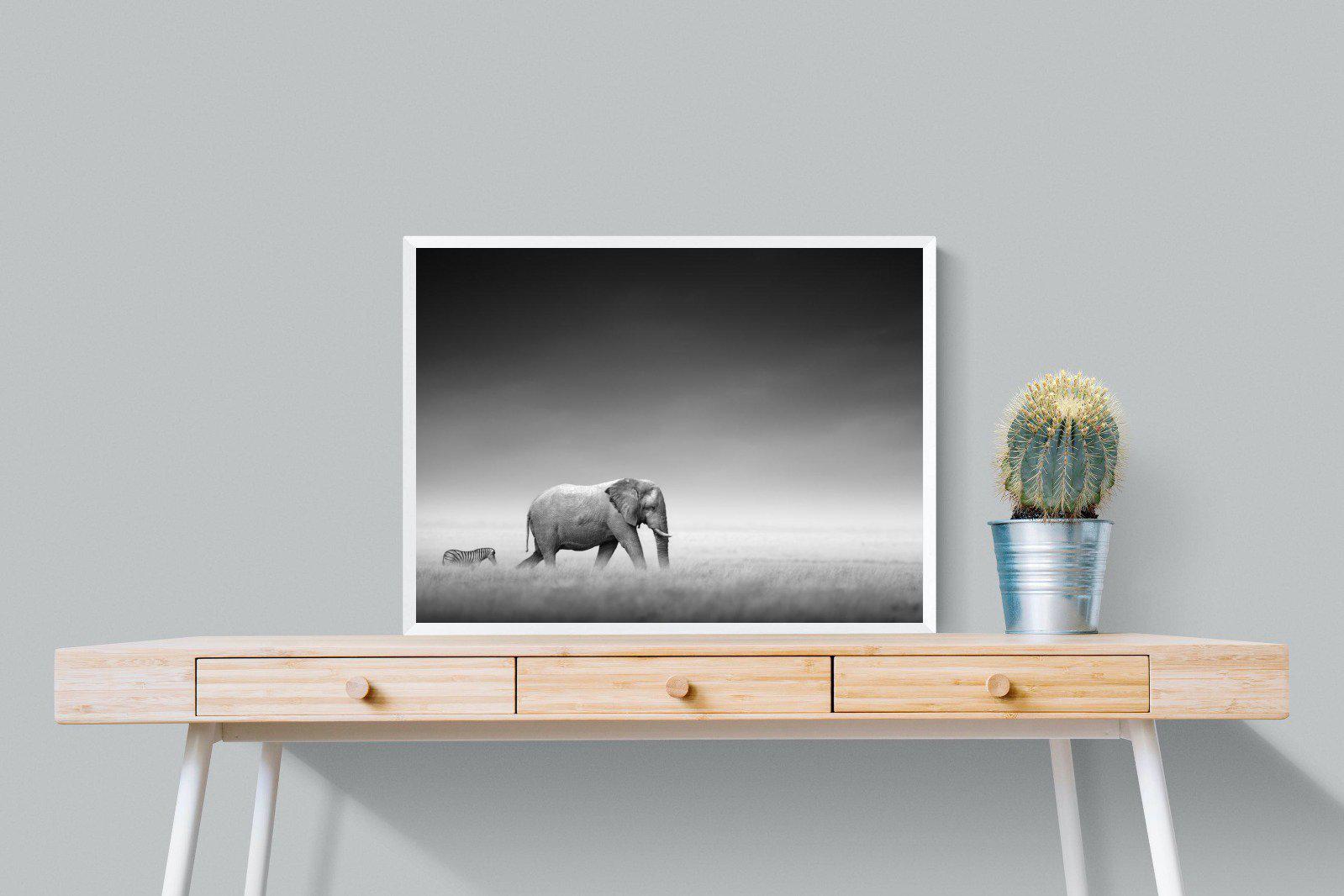 Migration-Wall_Art-80 x 60cm-Mounted Canvas-White-Pixalot