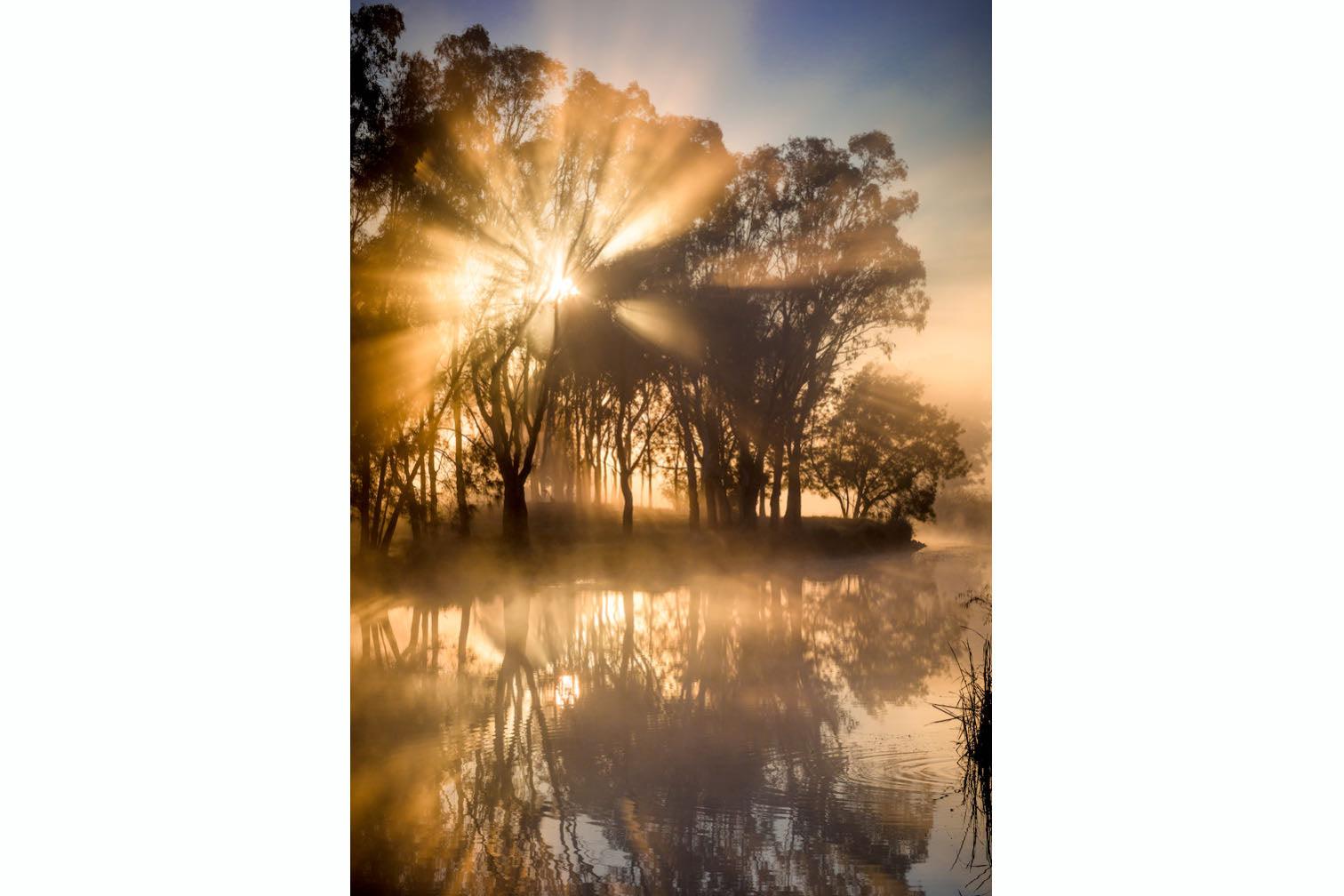 Misty Morning-Wall_Art-Pixalot