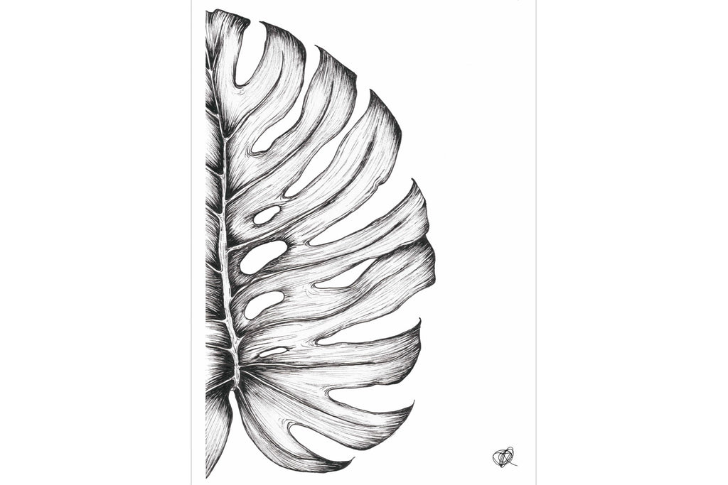 Monstera Illustration-Wall_Art-Pixalot