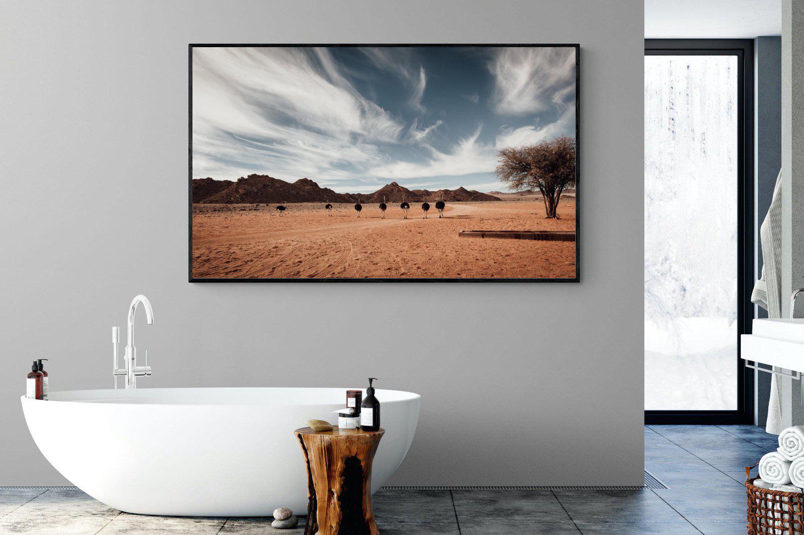 Namibian Ostrich-Wall_Art-180 x 110cm-Mounted Canvas-Black-Pixalot