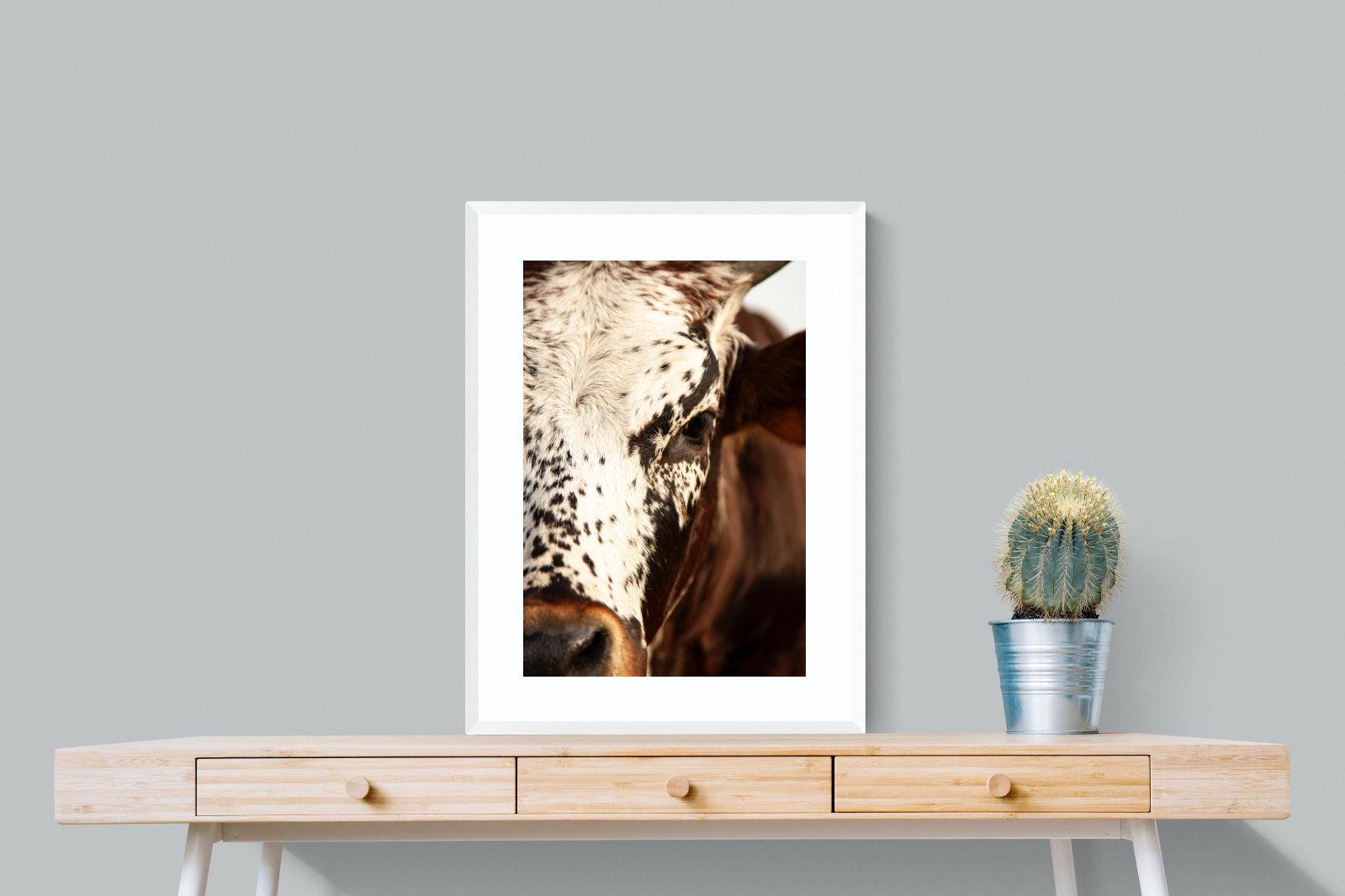 Nguni Close-Wall_Art-60 x 80cm-Framed Print-White-Pixalot