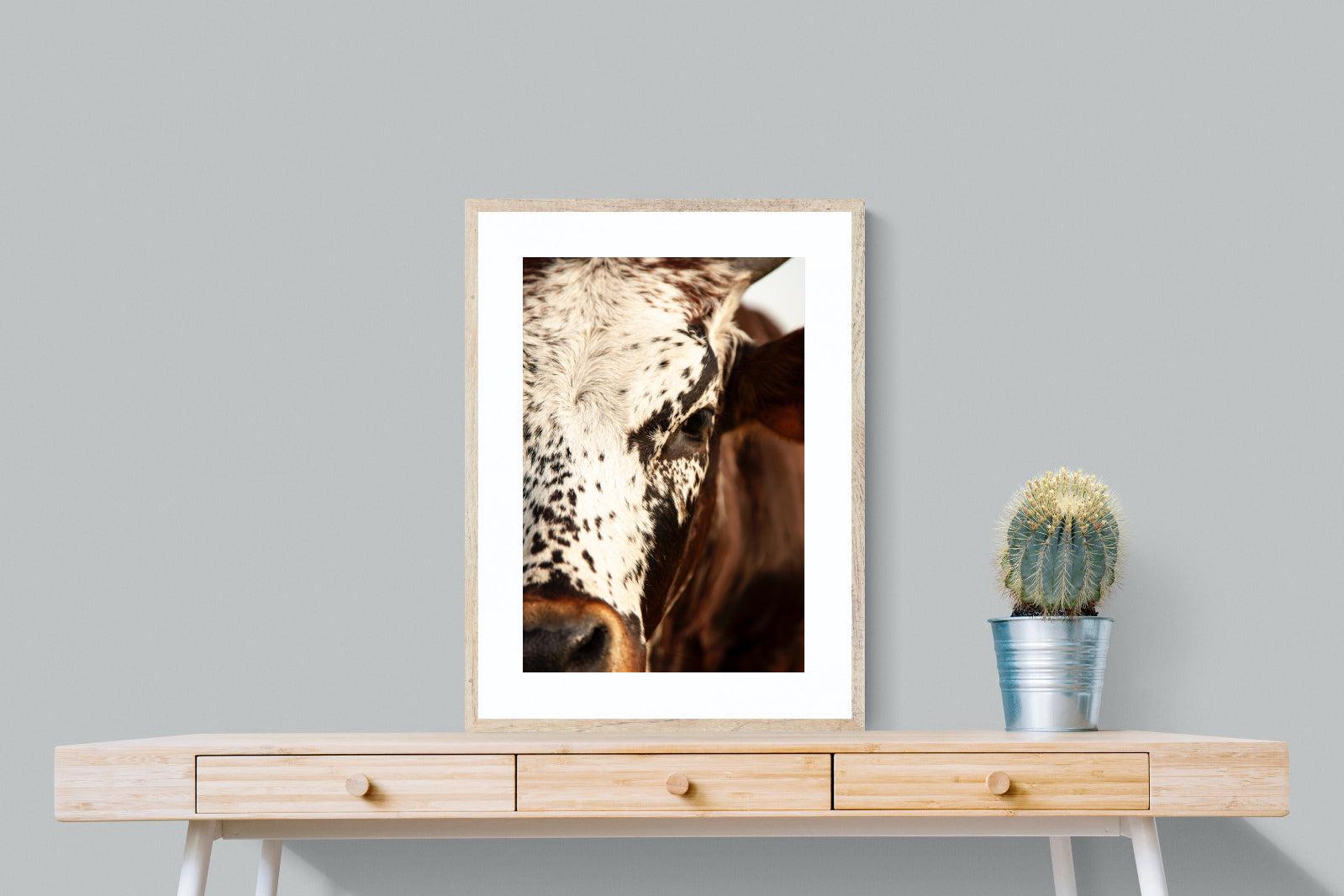 Nguni Close-Wall_Art-60 x 80cm-Framed Print-Wood-Pixalot