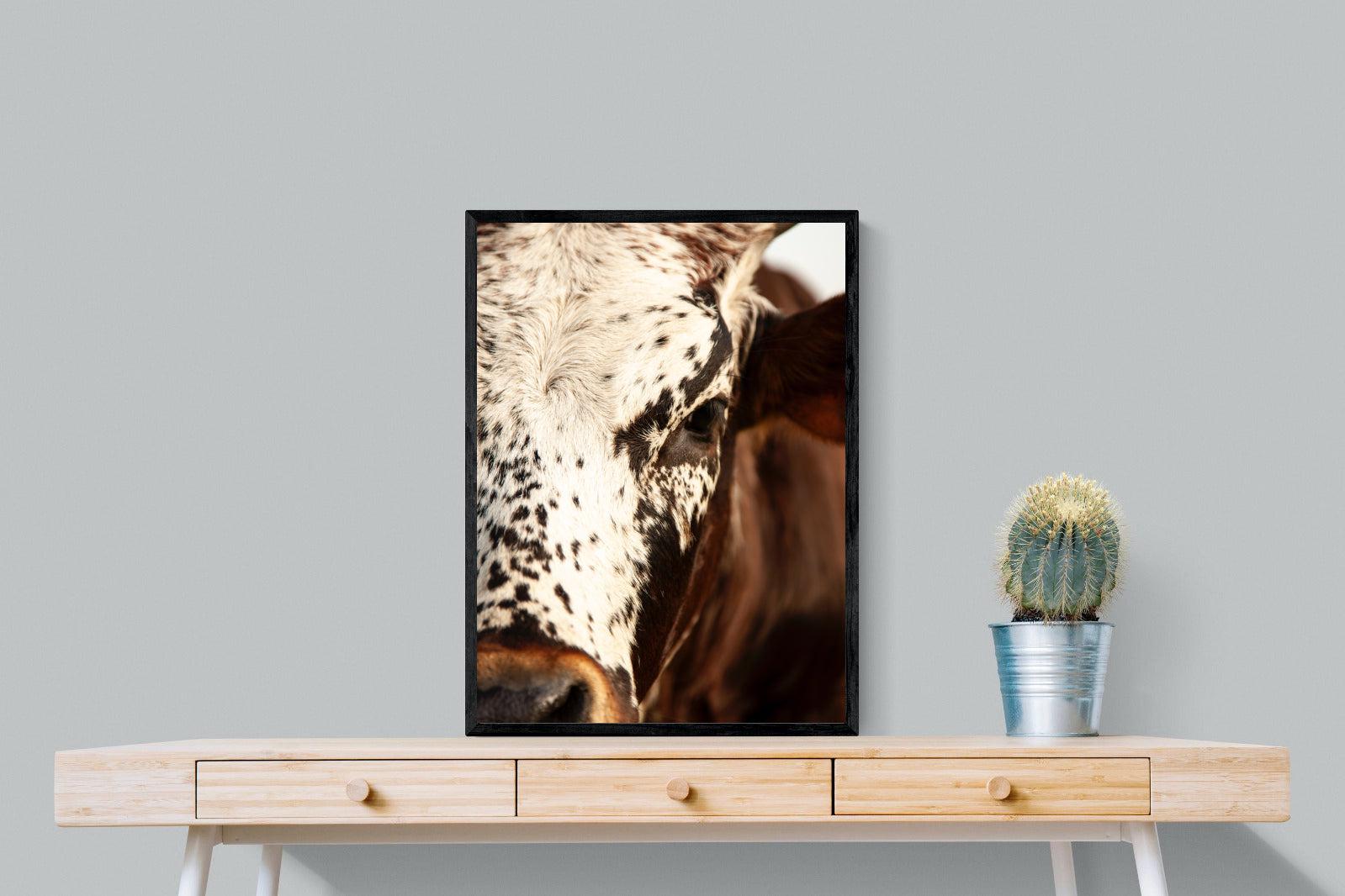 Nguni Close-Wall_Art-60 x 80cm-Mounted Canvas-Black-Pixalot