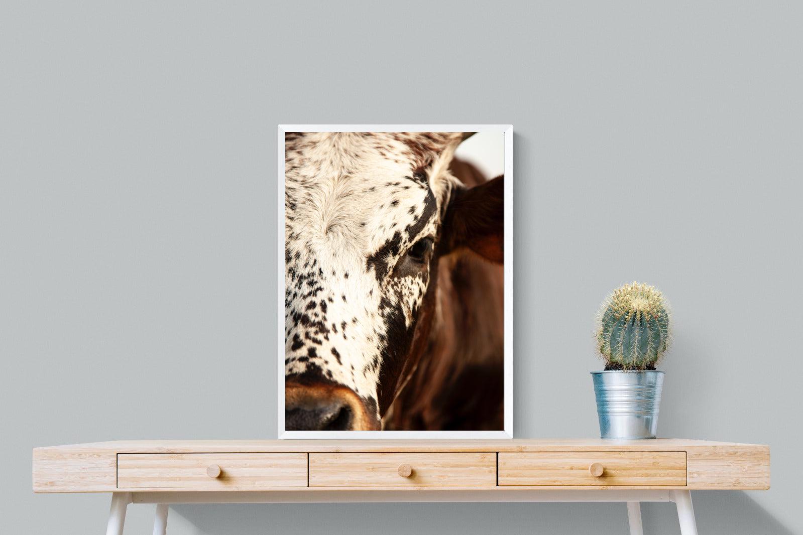 Nguni Close-Wall_Art-60 x 80cm-Mounted Canvas-White-Pixalot