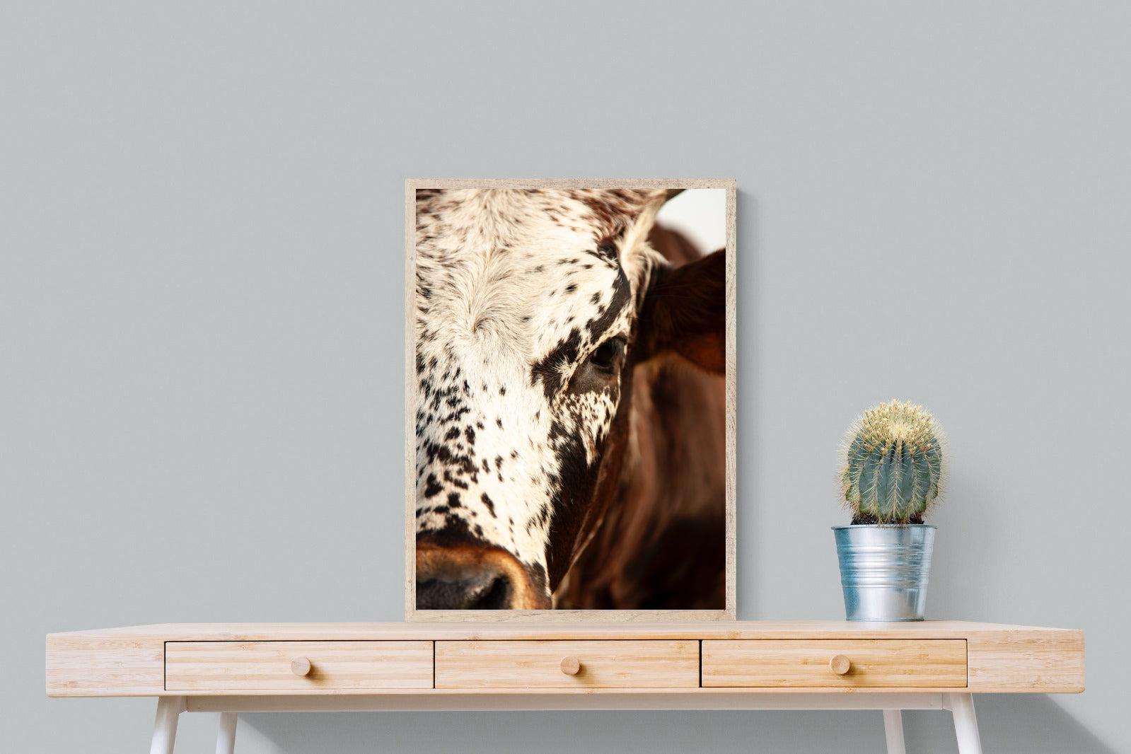 Nguni Close-Wall_Art-60 x 80cm-Mounted Canvas-Wood-Pixalot