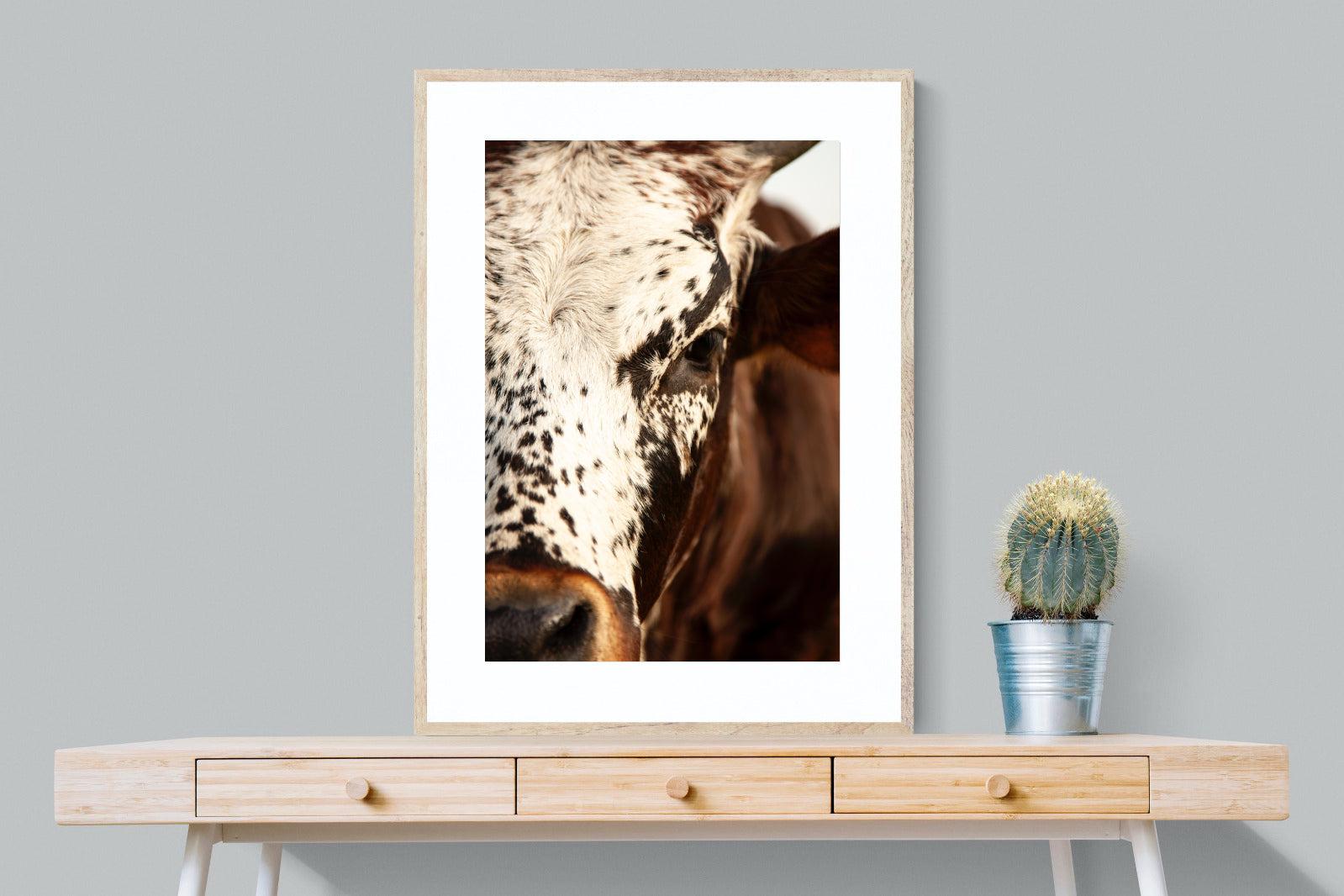 Nguni Close-Wall_Art-75 x 100cm-Framed Print-Wood-Pixalot