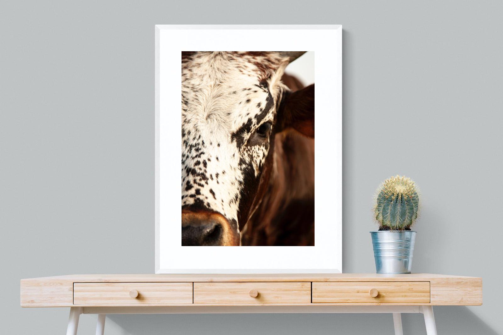 Nguni Close-Wall_Art-75 x 100cm-Framed Print-White-Pixalot