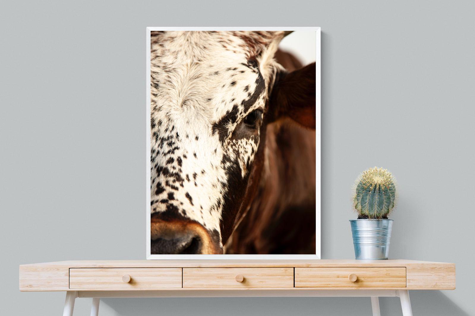 Nguni Close-Wall_Art-75 x 100cm-Mounted Canvas-White-Pixalot