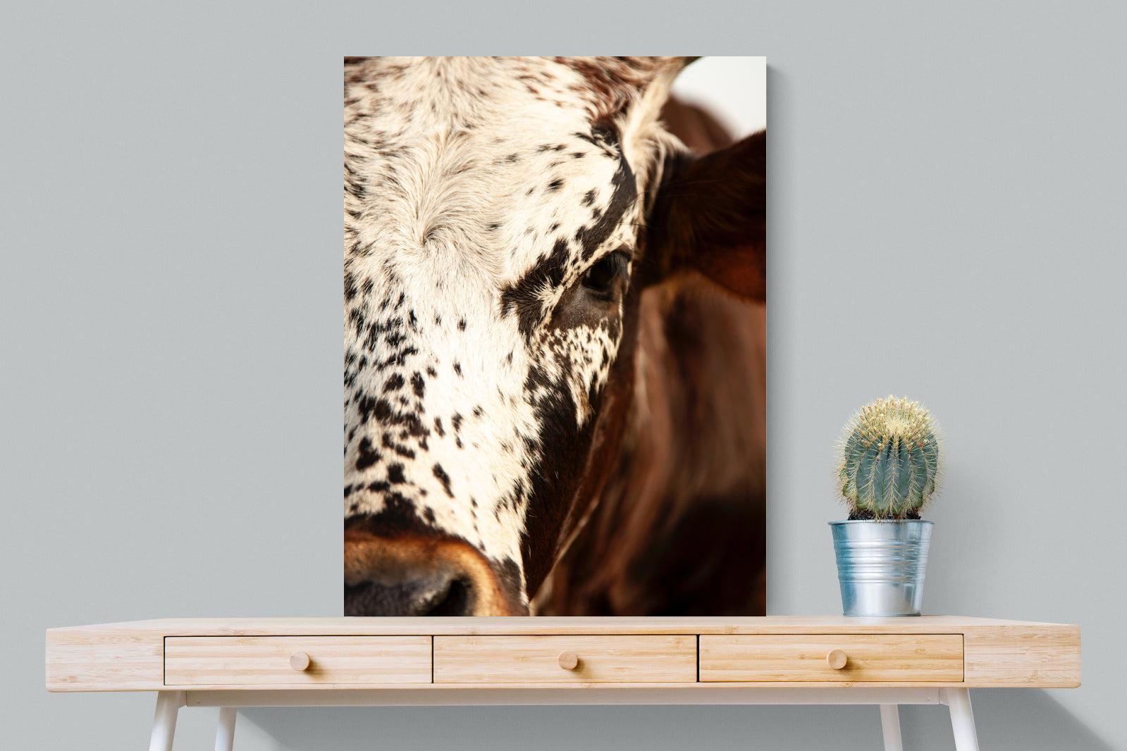 Nguni Close-Wall_Art-75 x 100cm-Mounted Canvas-No Frame-Pixalot