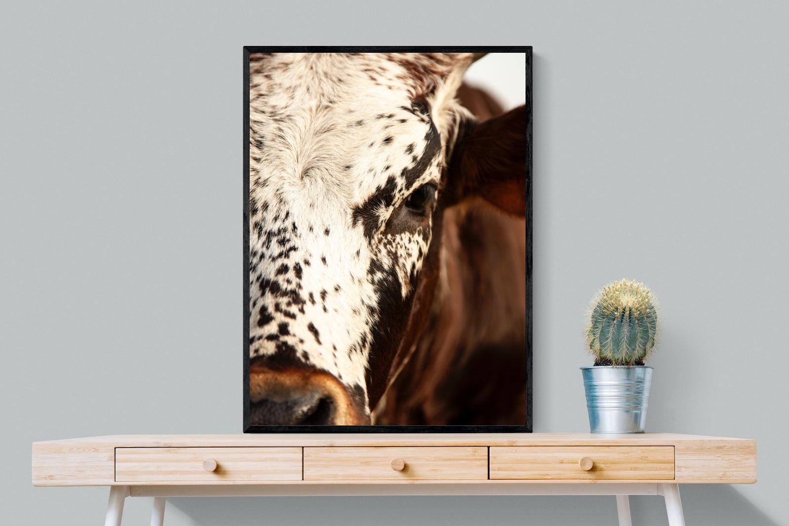 Nguni Close-Wall_Art-75 x 100cm-Mounted Canvas-Black-Pixalot