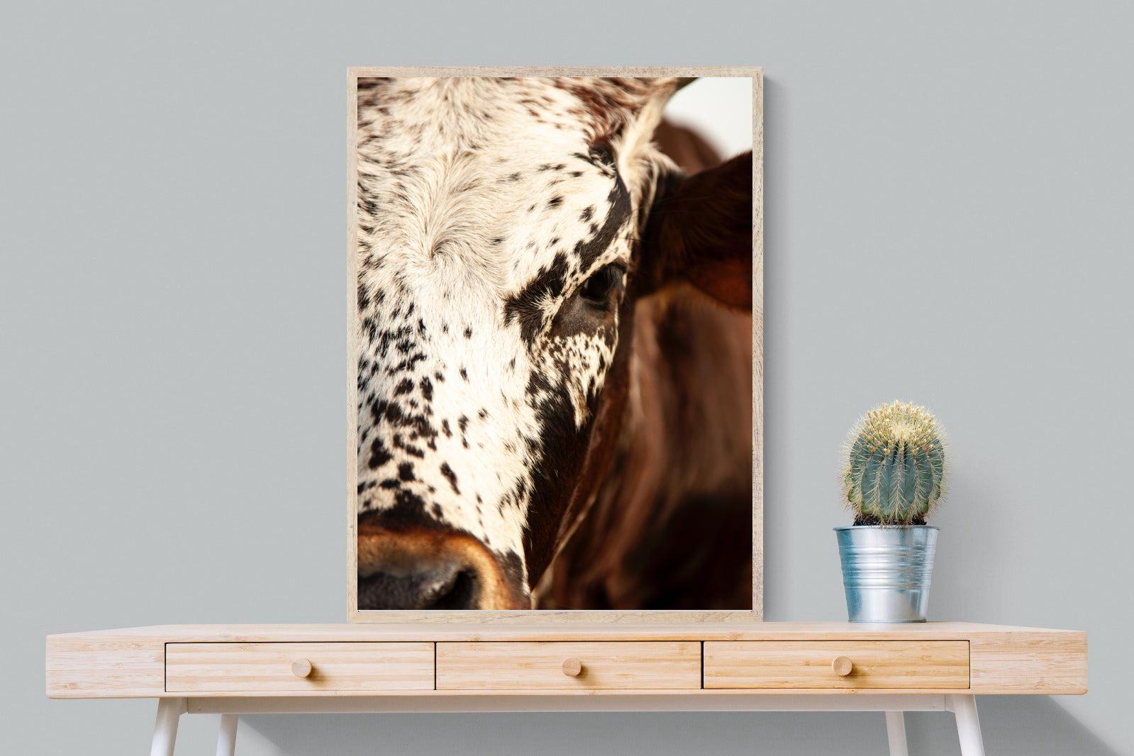 Nguni Close-Wall_Art-75 x 100cm-Mounted Canvas-Wood-Pixalot