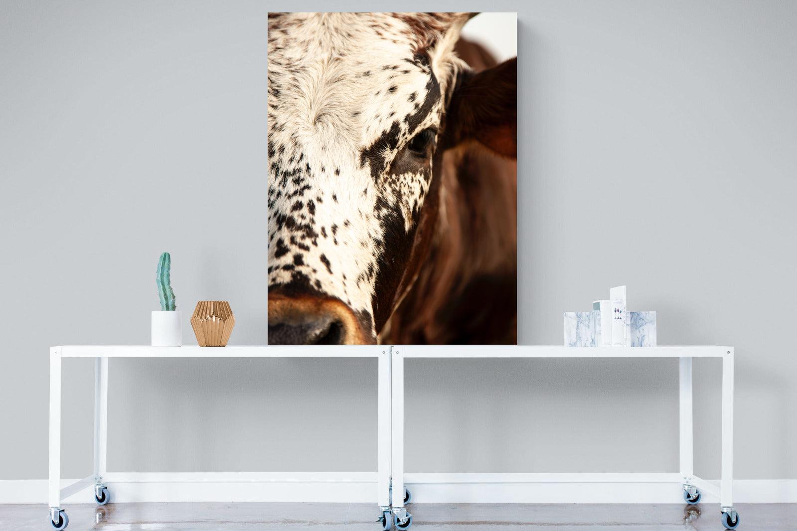 Nguni Close-Wall_Art-90 x 120cm-Mounted Canvas-No Frame-Pixalot