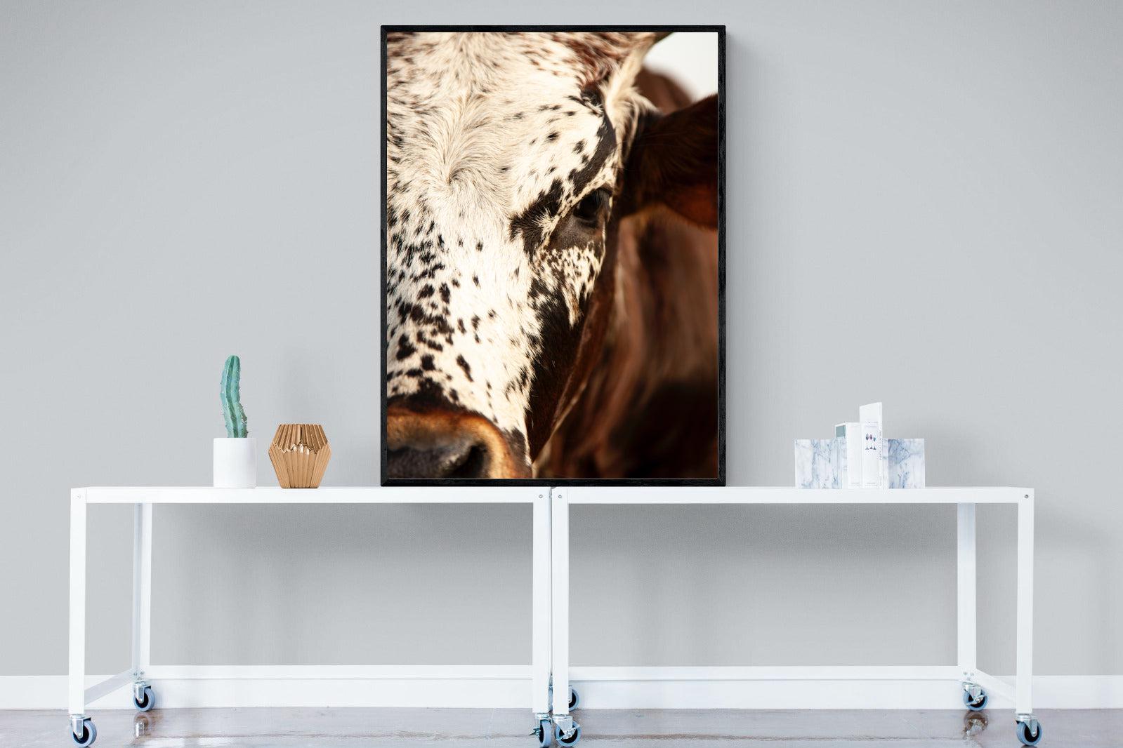 Nguni Close-Wall_Art-90 x 120cm-Mounted Canvas-Black-Pixalot