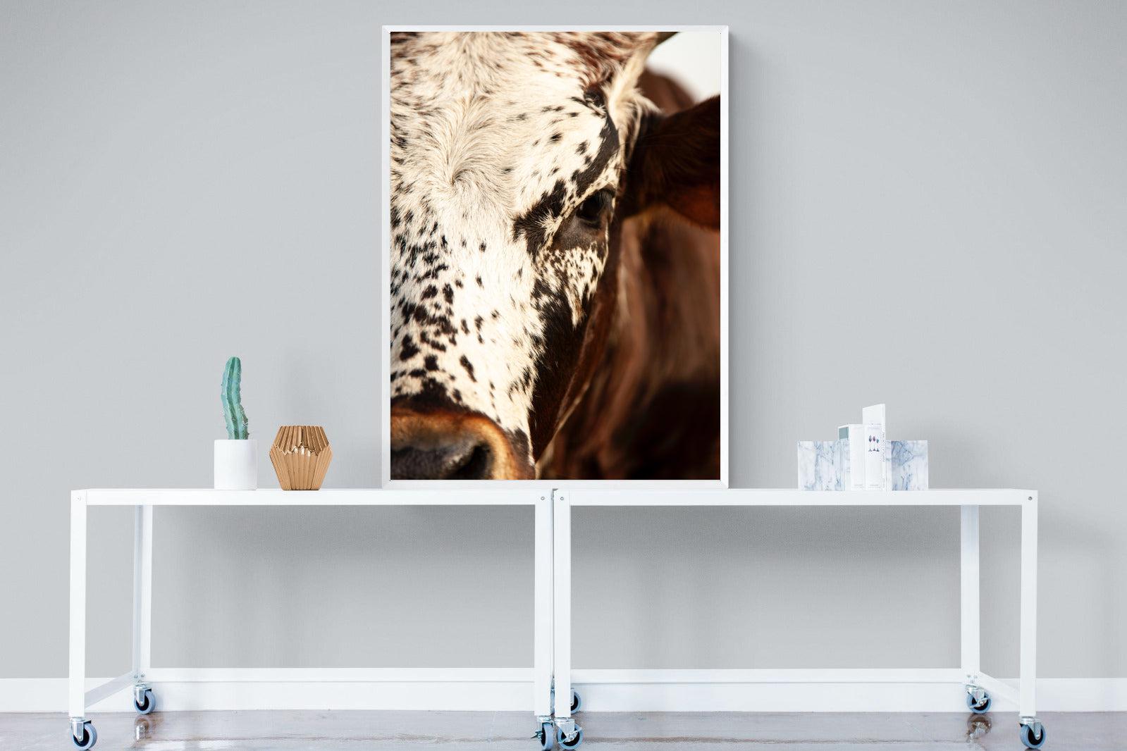 Nguni Close-Wall_Art-90 x 120cm-Mounted Canvas-White-Pixalot