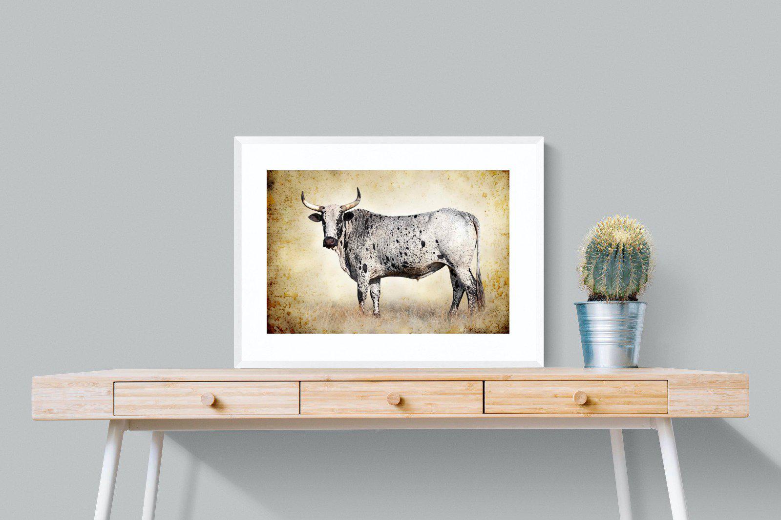 Nguni Ox-Wall_Art-80 x 60cm-Framed Print-White-Pixalot