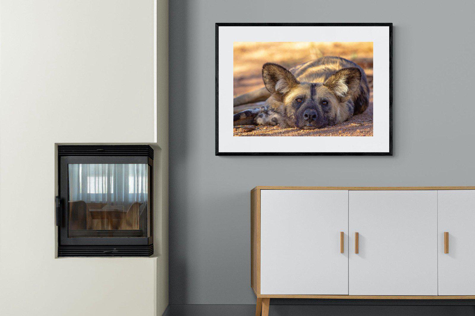 Not So Wild Dog-Wall_Art-100 x 75cm-Framed Print-Black-Pixalot