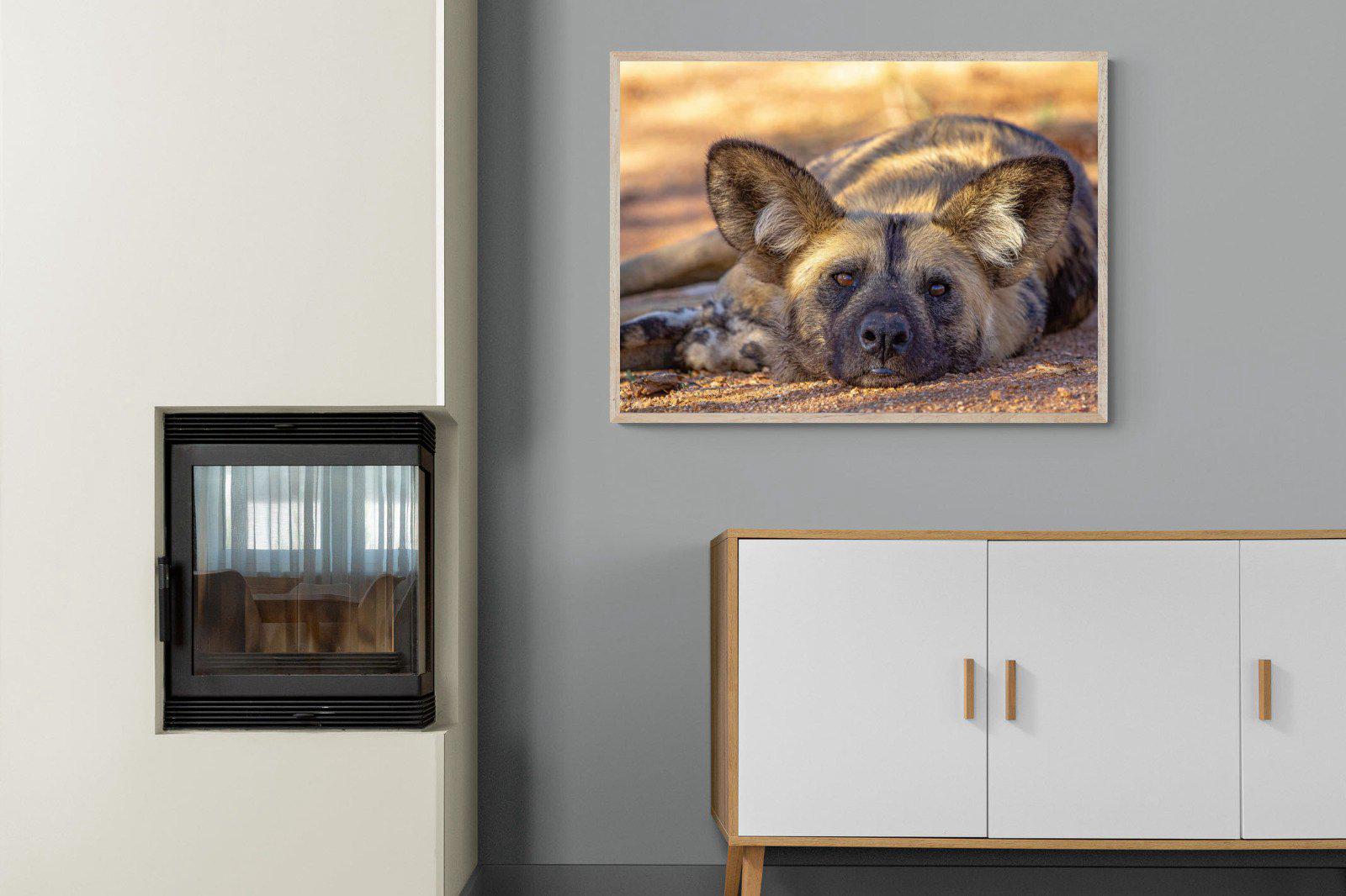 Not So Wild Dog-Wall_Art-100 x 75cm-Mounted Canvas-Wood-Pixalot