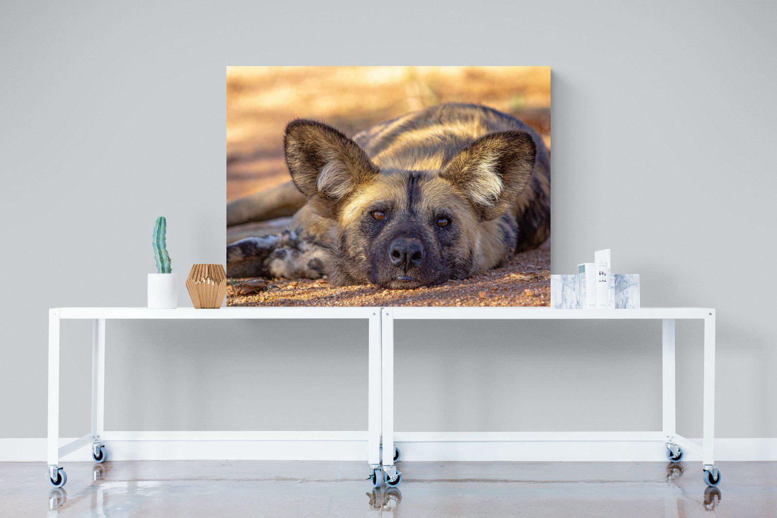 Not So Wild Dog-Wall_Art-120 x 90cm-Mounted Canvas-No Frame-Pixalot