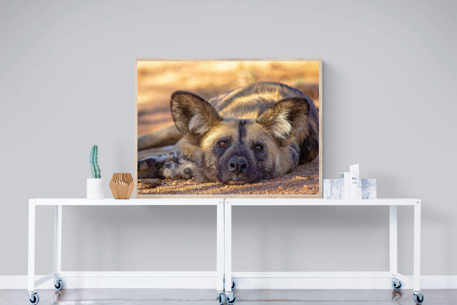 Not So Wild Dog-Wall_Art-120 x 90cm-Mounted Canvas-Wood-Pixalot