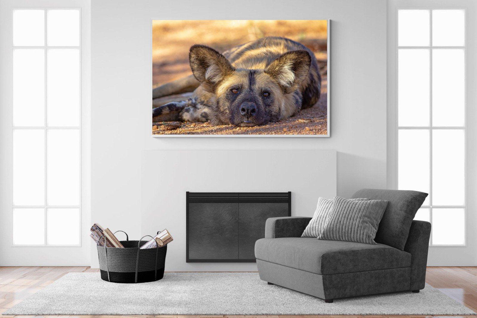 Not So Wild Dog-Wall_Art-150 x 100cm-Mounted Canvas-White-Pixalot